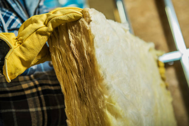 Best Geographic-Specific Insulation Services in Danvers, IL