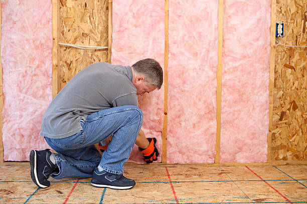 Best Residential Insulation in Danvers, IL
