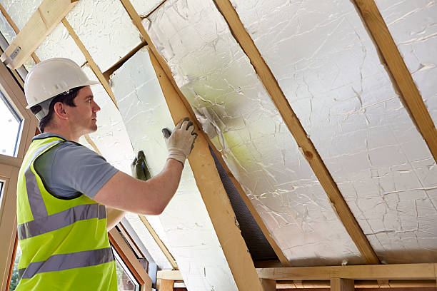 Best Specialized Insulation Services in Danvers, IL
